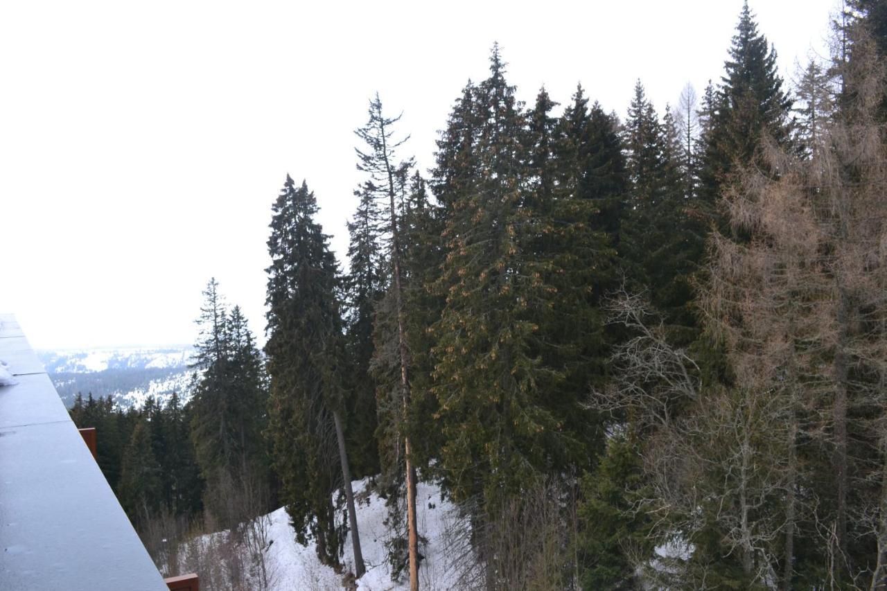 Panorama Apartmany Strbske Pleso Exterior photo
